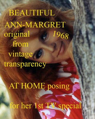 Ann Margret Sexy Rare Custom Lab Print From Vintage Transp 1968 Tv Spec