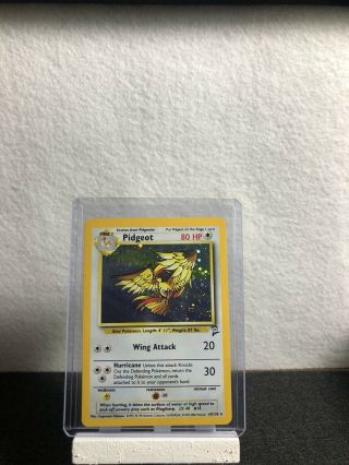 Pokemon Tcg Cards Pidgeot 8/64 Jungle Holo Rare Nm - M