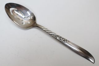 Wm A Rogers Oneida 1958 Always Wildwood Silverplate Serving Spoon
