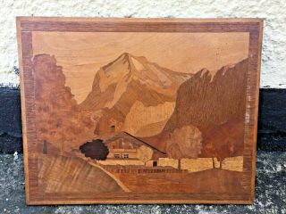 Vintage Marquetry Wooden Picture Inlaid Swiss Chalet Mountains 10.  5 X 8.  5 Inches