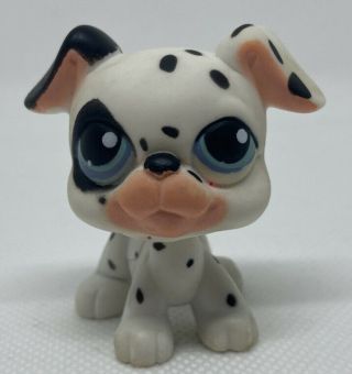 Rare 2007 Littlest Pet Shop - Lps - Hasbro - Dalmation Puppy Dog - Blue Eyes -