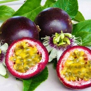 PASSIONFRUIT Seeds 10x | Passiflora Edulis | Sacred Medicinal Shaman Rare Ethno 3