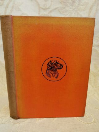 Antique Book Gone Wild The Epic Of A Wolf - Hound,  By J.  Dunn - 1926,  1st.  Edition