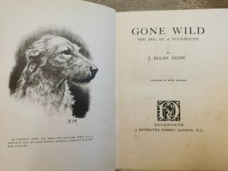 Antique Book Gone Wild The Epic Of A Wolf - Hound,  By J.  Dunn - 1926,  1st.  Edition 2