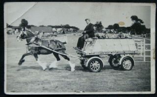 Rare William Best Dunfermline Horse Cart Highland Show Aberdeen 1940/50 