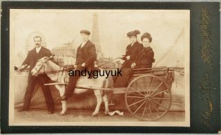 Cabinet Card Donkey Cart Claude Low Blackpool Antique Photo Victorian Animal