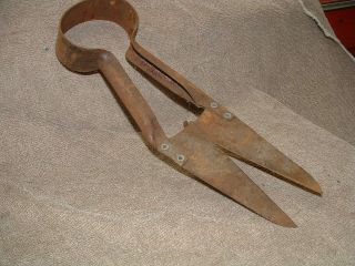 VINTAGE ANTIQUE CLIPPERS SHEEP SHEARS RUSTIC FARM TOOL USA 2