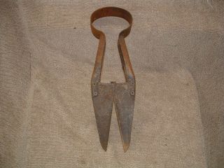 VINTAGE ANTIQUE CLIPPERS SHEEP SHEARS RUSTIC FARM TOOL USA 3