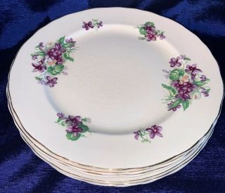 Antique Devon Violets Porcelain Dinner Plates Set Of 6 Made In England 9 3/4”