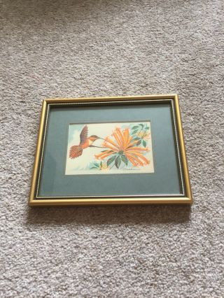 Humming Bird,  A Woven Vintage Picture In Silk By Cash’s Of Coventry,  Framed