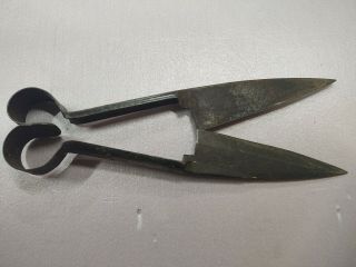 Sheep Shears Wool Cutters Scissors Metal Vintage Antique Hand Tool Farm 13.  75 "