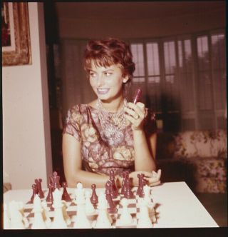 Sophia Loren Playing Chess Rare Vintage 2.  25 X 2.  25 Transparency Slide