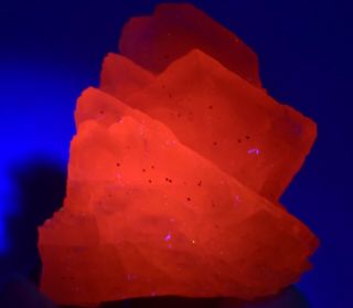 42g Natural Clear Pink Fluorescent Calcite Crystal Cluster Rare Mineral Specimen