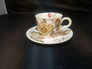 John Maddock & Sons Old Rose Demitasse Cup And Saucer