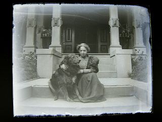 Antique Glass Plate Photograph Negative - Victorian Woman On Porch Steps W/ Dog