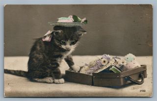 Cat In Fancy Hat W/ Suitcase Antique Real Photo Postcard Rppc