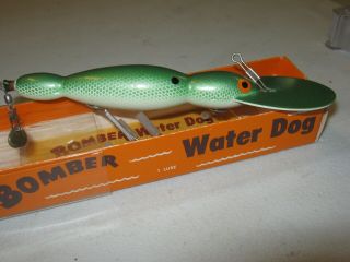 Vintage BOMBER Fishing Lure with Papers waterdog 1743 3
