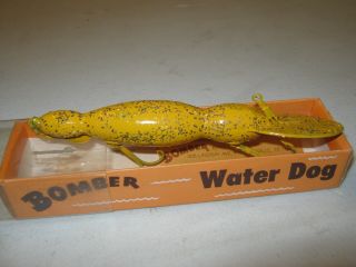 Vintage BOMBER Fishing Lure with Papers waterdog 1719 2