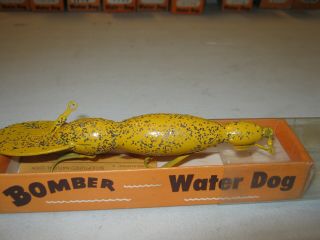 Vintage BOMBER Fishing Lure with Papers waterdog 1719 3