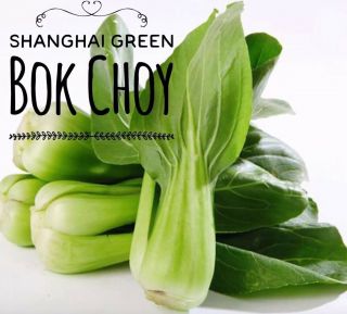 Rare✿ 300,  Authentic Shanghai Green Stem Bok Choy/ Pak Choi Seeds