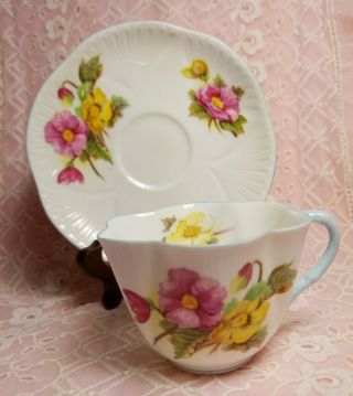 Vintage Shelley England Bone China Teacup & Saucer Set Begonia 13427