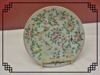 Vintage Chinese Export Famille Rose Enamel Green Celadon Porcelain Plate 7 "
