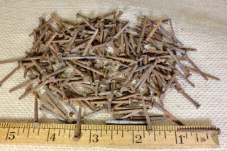 100 Old 1 " Square Nails Vintage 1850’s Rusty Patina 5/32” Small Head Rustic Box