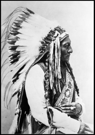 1885 - Sitting Bull Portrait,  Antique Photo,  Native American,  Lakota,  20 " X14 "