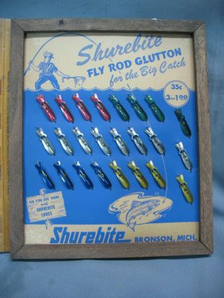 Rare Vintage 12 " X 10 " Shurebite 24 Lure Dealers Display Bronson.  Michigan