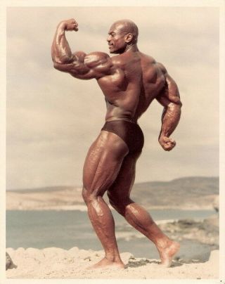265 Gym - Sergio Oliva Body Building Muscle Exercise Work Out 24 " X30 " Poster