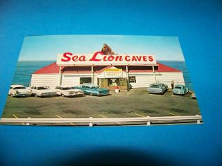 Sea Lion Caves Florence,  Oregon Vintage Postcard