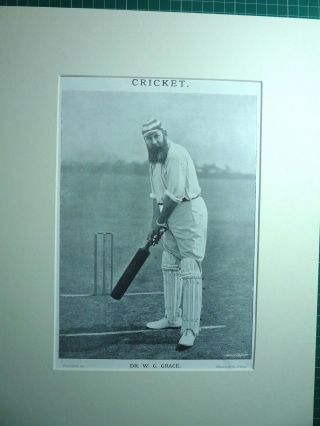 Cricket.  " Dr.  W.  G.  Grace.  " 1896.  Very Rare.