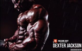 178 Gym - Dexter Jackson Body Building Muscle Exercise Work Out 38 " X24 " Poster