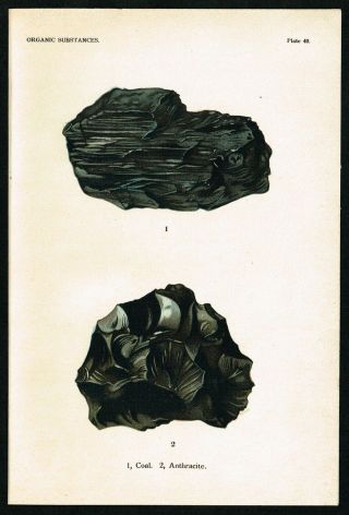 1911 Organic Substances: Coal,  Anthracite,  Geology,  Rocks - Antique Print