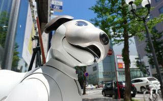 Sony AIBO ERS - 1000 Robot Dog Ivory White,  3 yrs BASIC PLAN AI Robot 3