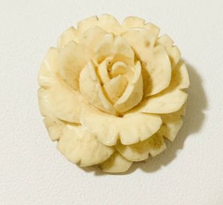Antique Vintage Bovine Bone Carved Flower Rose Brooch
