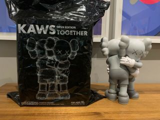 Kaws Together Grey Companion