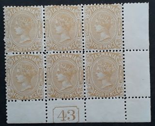 Rare 1896 Tasmania Australia Plate Blk (43) Of 6x4d Pale Bistre Sideface Stamps