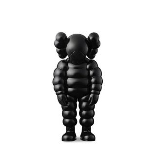 Kaws What Party - Black - Authentic - - Confirmed Order Ships