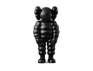 Authentic Kaws What Party Figure Black Gone Take Share Space
