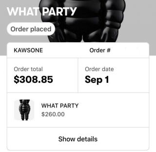 Authentic Kaws What Party Figure Black Gone Take Share Space 2