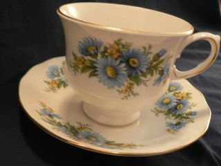 Queen Anne Tea Cup And Saucer Charming Blue Dasies