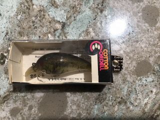 Nos Old Stock Vintage Cotton Cordell Big O 7792 Fishing Lure