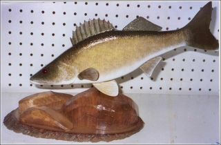 Rare Jim Anderson Lg 14” Hand Carved Fish Decoy Display Cadillac,  Mi