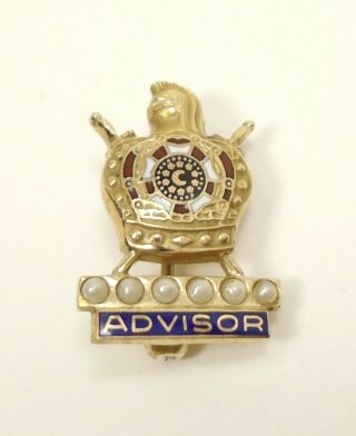 Rare Vtg Masonic Demolay Advisor Youth Pin 10k Gold Enamel Seed Pearl 2.  1g