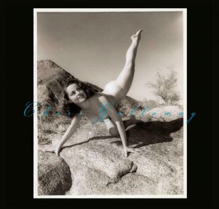 Rare Nude Diane Webber 1950s Bernard In The Desert Classic Leg Art Photo