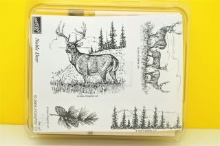 Rare Stampin Up Noble Deer Retired Stamp Set Pine Christmas Holidays Nature