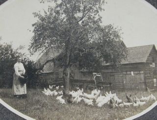 Large Antique Cabinet Photo Of A Woman Feeding The Chickens Farm Scene