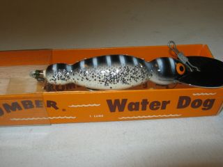 Vintage BOMBER Fishing Lure with Papers waterdog 1672 2