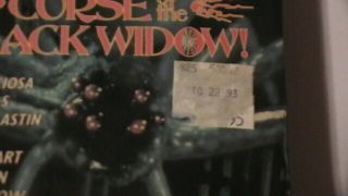 curse of the black widow 1976 continental big box dan curtis horror mystery rare 2